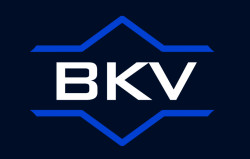 business-logo