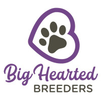 business-logo
