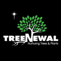 business-logo