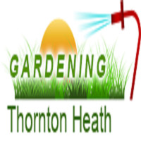 business-logo