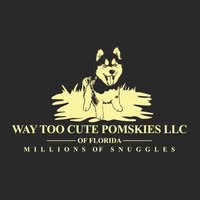 business-logo