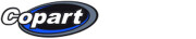 business-logo