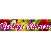 business-logo